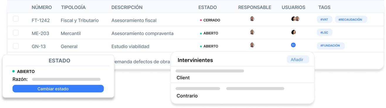 Panel de control del expediente mostrando información general, notas, control de tiempo y facturas