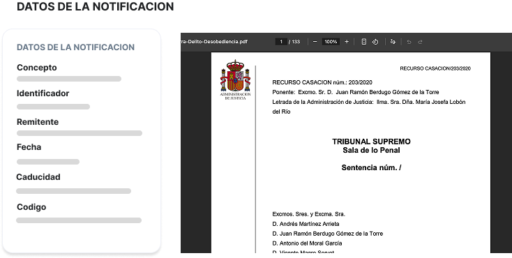 Vista del visor de notificaciones electrónicas mostrando la información descriptiva y el documento PDF de la notificación